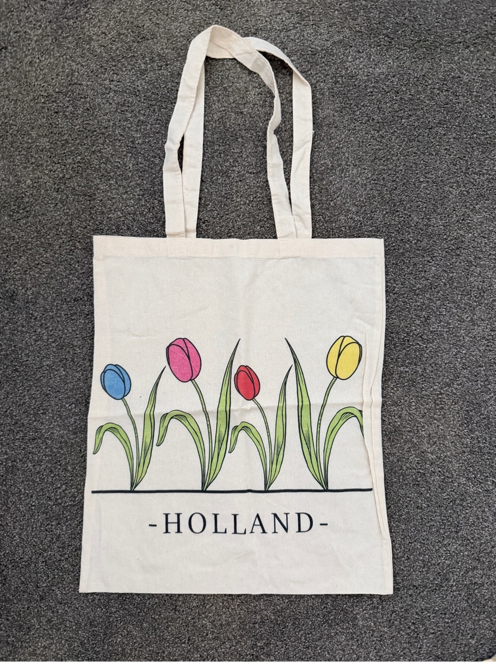 Holland Tulip Canvas Tote Bag - Multicolor Floral Print